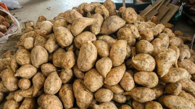 Hoy ofertas en camote, olluco, granadilla, piña, plátano y otros en mercados mayoristas
