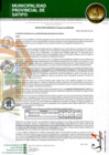 Vista preliminar de documento RESOLUCION GERENCIAL N° 00546-2024-MPS