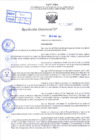 Vista preliminar de documento R.D 0807-2024