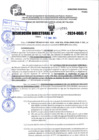 Vista preliminar de documento R.D 0785-2024