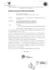 Vista preliminar de documento informe 111