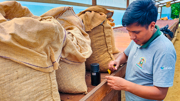 CACAO SAN GABAN