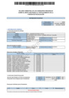 Vista preliminar de documento Balance Semestral I 2024