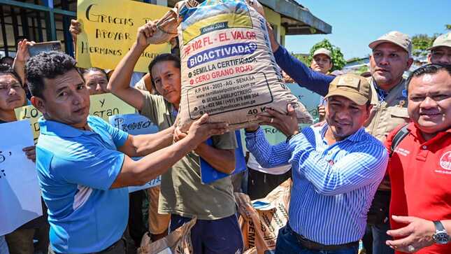 Gobernador Dr. René Chávez entrega semillas certificadas a agricultores en Caballo Cocha