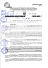 Vista preliminar de documento R.D 0776-2024