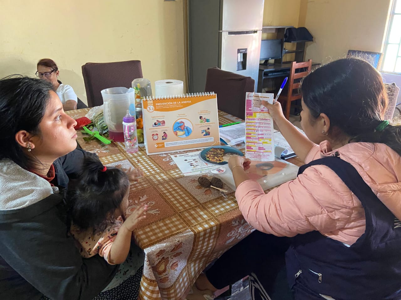 MINSA MONITOREA CALIDAD DE VISITAS DOMICILIARIAS 4
