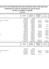 Vista preliminar de documento Anexo3-PPTO2020