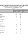 Vista preliminar de documento Anexo7-PPTO2020