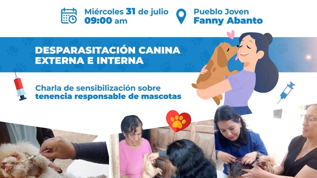 jornada médica