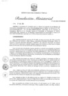 Vista preliminar de documento RM N° 295-2024-MINEM-DM