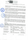 Vista preliminar de documento Resolución Gerencial Regional