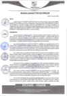 Vista preliminar de documento rgm388