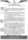 Vista preliminar de documento rgm390