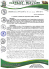 Vista preliminar de documento ORDENANZA MUNICIPAL N° 002-2022-MPC-M-A