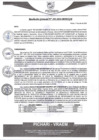 Vista preliminar de documento rgm392