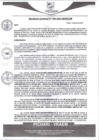 Vista preliminar de documento rgm394