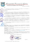 Vista preliminar de documento RESOLUCION DE ALCALDIA 063-2019-MPA-A