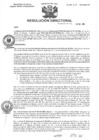 Vista preliminar de documento R.D N° 236-2024-HMA-DG