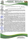 Vista preliminar de documento ORDENANZA MUNICIPAL N° 004-2022-MPC-M-A