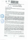 Vista preliminar de documento Resolución Gerencial Regional