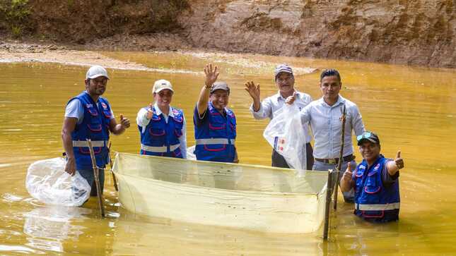 Gobernador Dr. René Chávez encabezó la entrega de 300 mil alevinos para promover la seguridad alimentaria en Loreto.