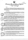 Vista preliminar de documento RGGR279-2024