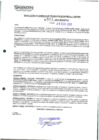 Vista preliminar de documento 111