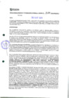 Vista preliminar de documento 129