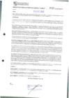 Vista preliminar de documento 133