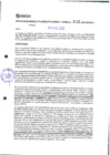 Vista preliminar de documento 132