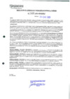 Vista preliminar de documento 197