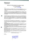 Vista preliminar de documento 199