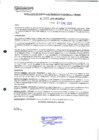 Vista preliminar de documento 207