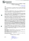 Vista preliminar de documento 216