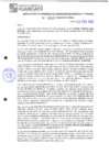 Vista preliminar de documento 217