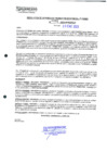 Vista preliminar de documento 225