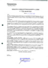 Vista preliminar de documento 234