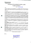 Vista preliminar de documento 235