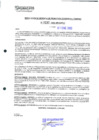 Vista preliminar de documento 237