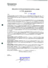 Vista preliminar de documento 238