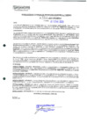 Vista preliminar de documento 241