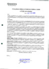 Vista preliminar de documento 246