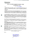 Vista preliminar de documento 252
