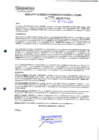 Vista preliminar de documento 250