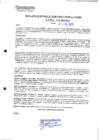 Vista preliminar de documento 251