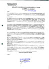 Vista preliminar de documento 295