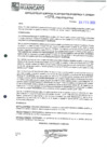 Vista preliminar de documento 300