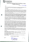Vista preliminar de documento 309