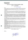 Vista preliminar de documento 311