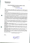 Vista preliminar de documento 316